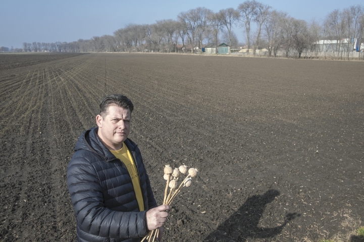 A körúton belülinek innen van mákja
